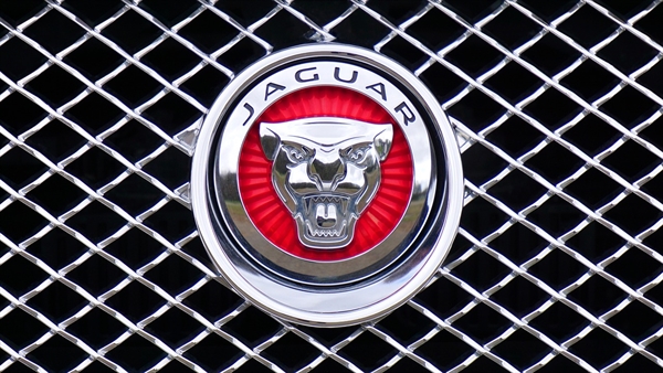 Jaguars Soon To Be Seen In Somerset!