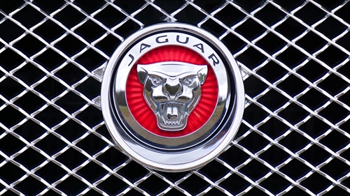 Jaguars soon to be seen in Somerset